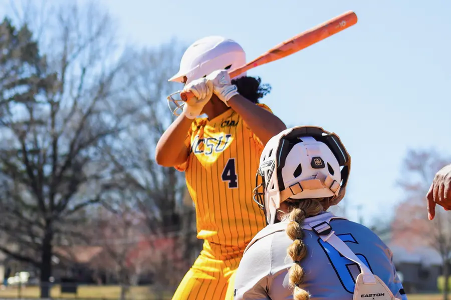 Player at Bat